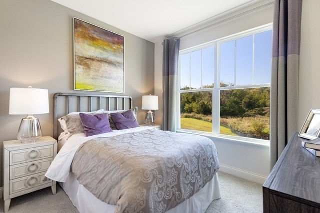 bedroom with light colored carpet