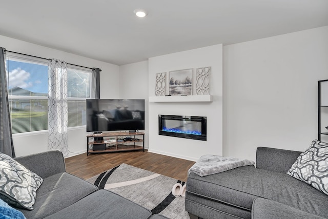 living room featuring dark wood-type flooring