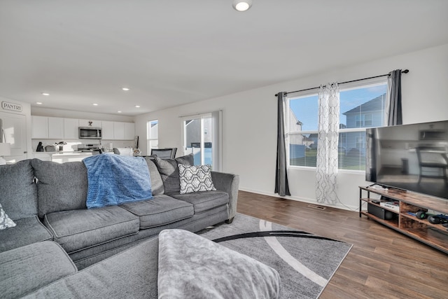 living room featuring dark hardwood / wood-style floors