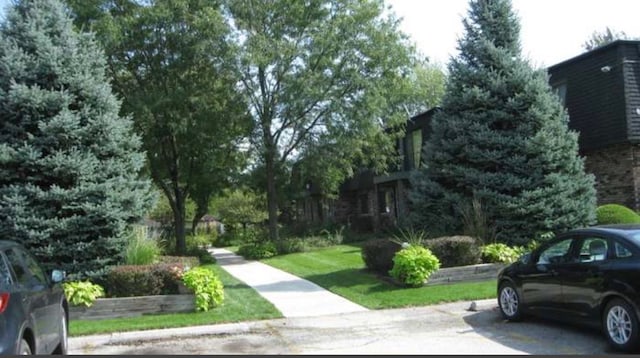 view of property's community featuring a lawn