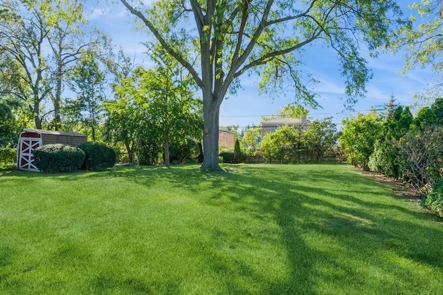 view of yard with a shed