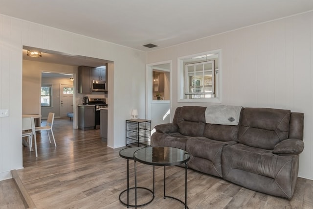 living room featuring wood-type flooring