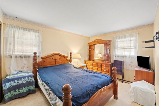 carpeted bedroom with multiple windows