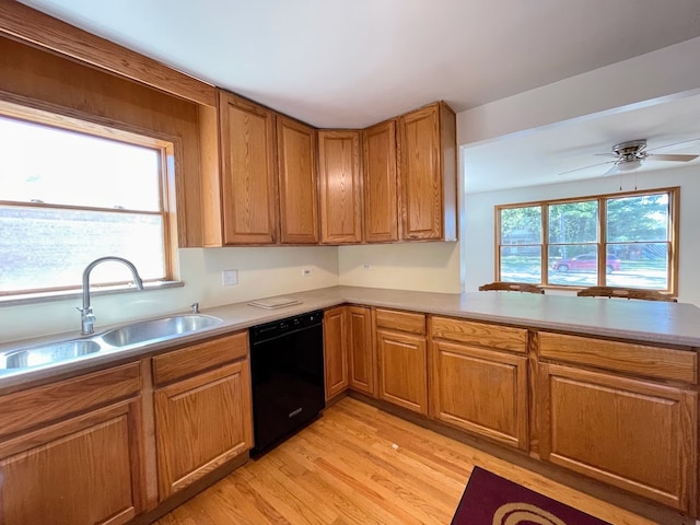 kitchen featuring black dishwasher, kitchen peninsula, light hardwood / wood-style flooring, ceiling fan, and sink