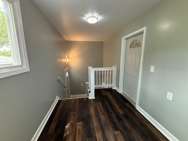 laundry room with dark hardwood / wood-style flooring