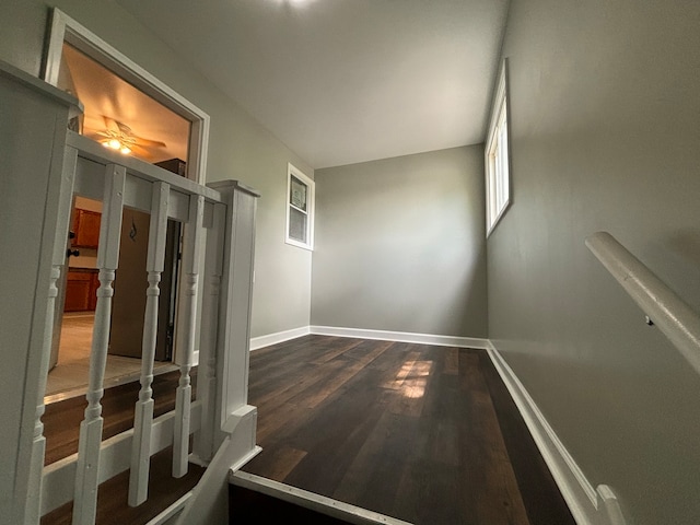 corridor with dark hardwood / wood-style floors