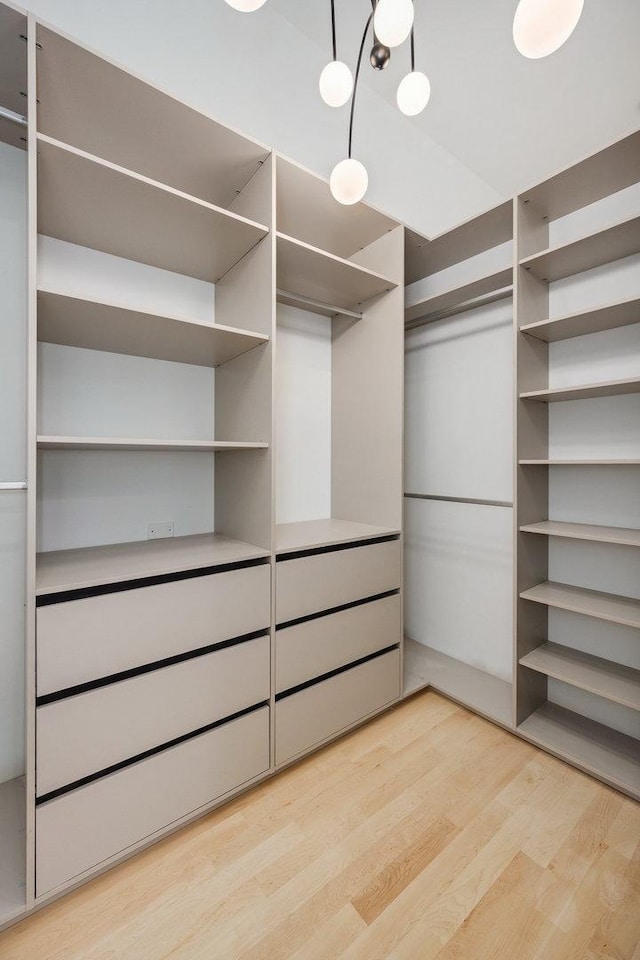 walk in closet with light wood-type flooring