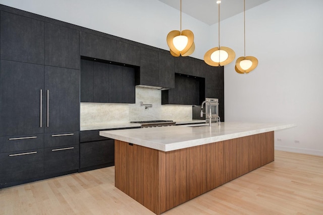 kitchen with dark cabinets, light wood-type flooring, and a sink