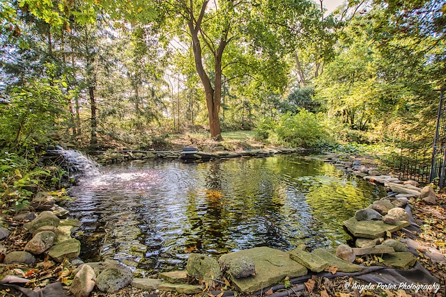 view of water feature