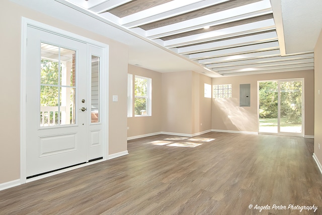 interior space with electric panel, a healthy amount of sunlight, and dark hardwood / wood-style flooring