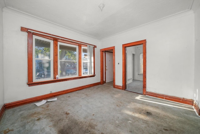 spare room featuring carpet and ornamental molding