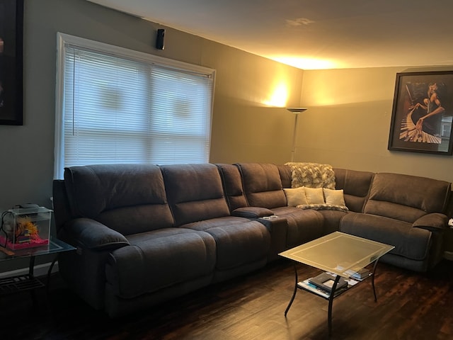 living room featuring hardwood / wood-style flooring