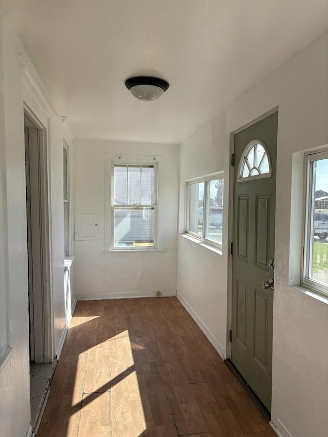 foyer entrance featuring baseboards, plenty of natural light, and wood finished floors