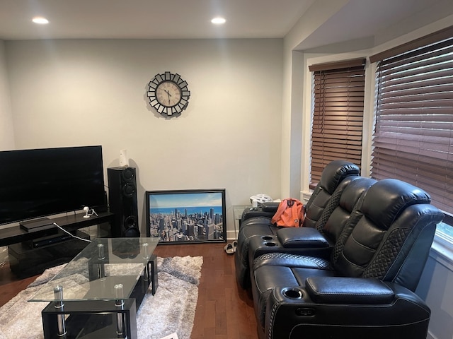 living room featuring dark hardwood / wood-style flooring