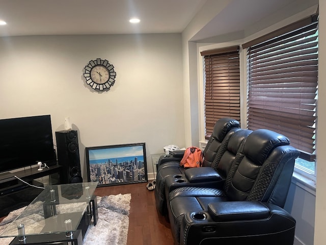 living room with dark hardwood / wood-style flooring