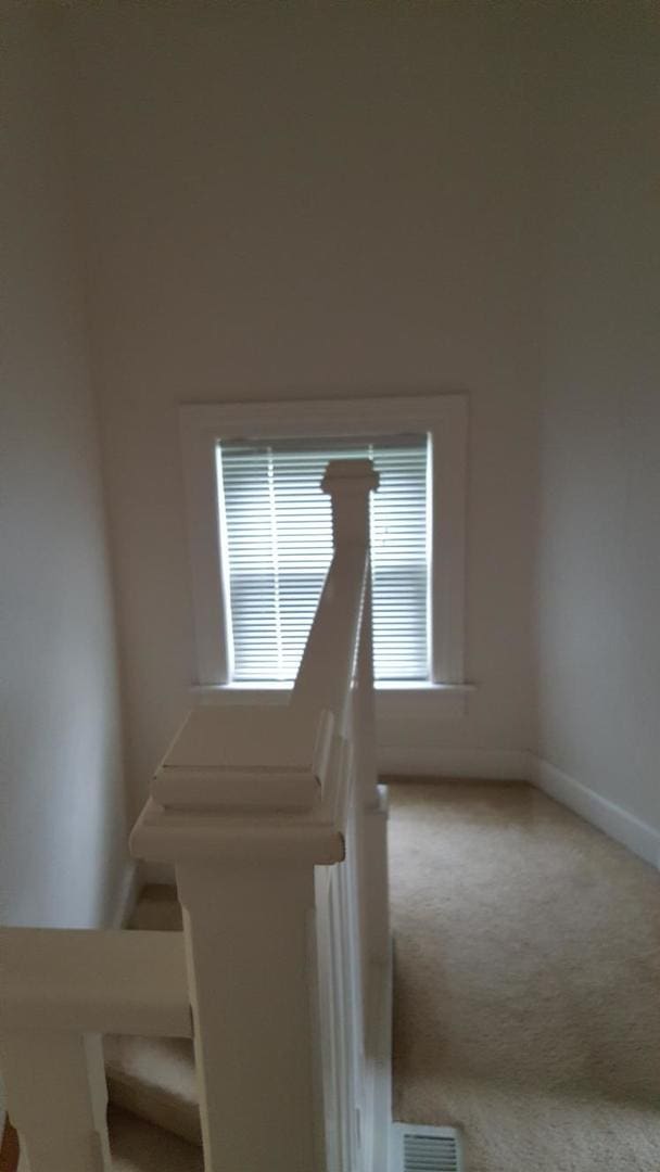 staircase featuring carpet