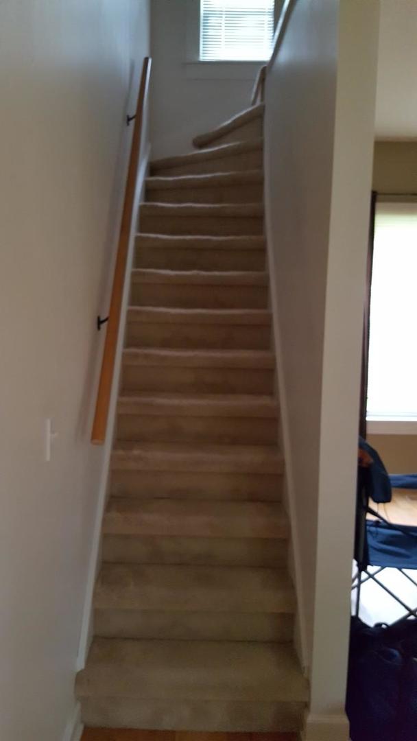 202 S Birch St, Wenona, IL 61377 - staircase featuring baseboards, healthy amount of natural light, and wood finished floors