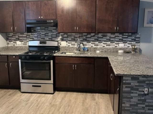 kitchen with gas range, tasteful backsplash, sink, light hardwood / wood-style floors, and dark brown cabinets