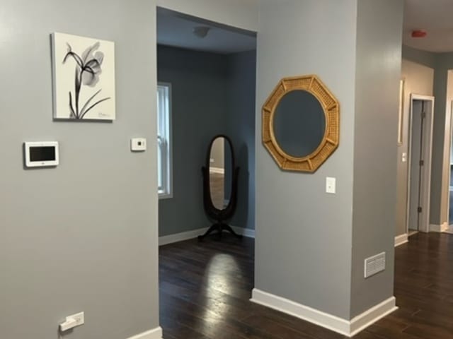 corridor featuring dark wood-type flooring