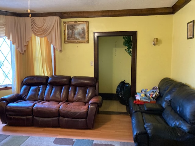 living room featuring wood-type flooring