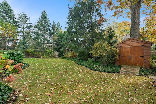 view of yard with a storage shed