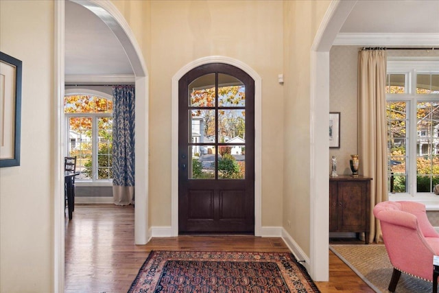 entrance foyer featuring crown molding, a healthy amount of sunlight, and dark hardwood / wood-style flooring