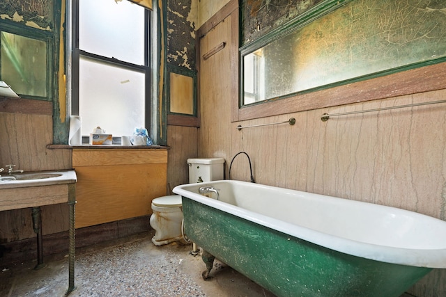 bathroom featuring vanity, a bathing tub, and toilet