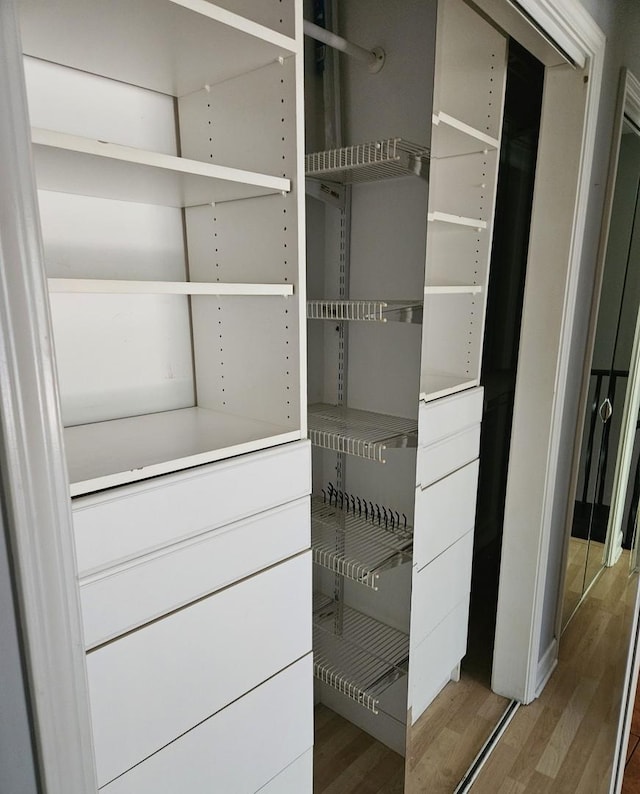 11 Saint Thomas Colony Unit 4, Fox Lake, IL 60020 - view of closet