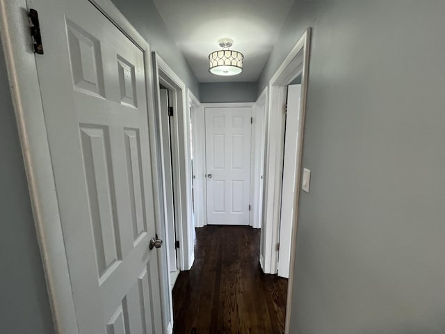 corridor featuring dark hardwood / wood-style flooring