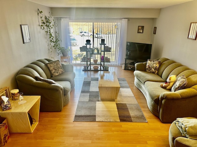 living room with light wood-type flooring