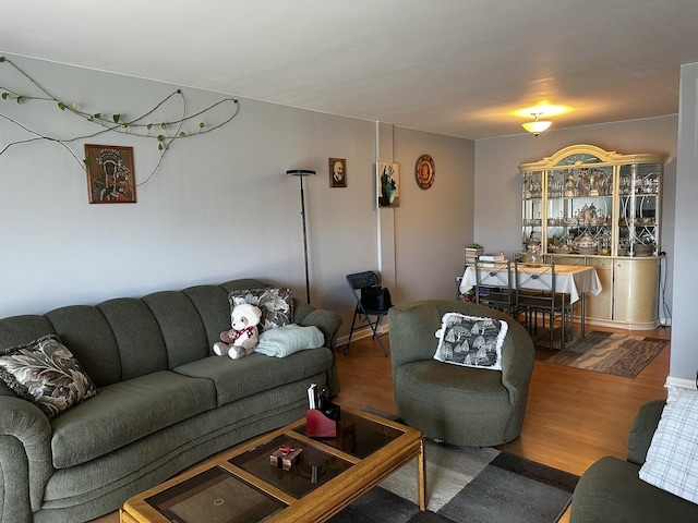 living room with hardwood / wood-style floors