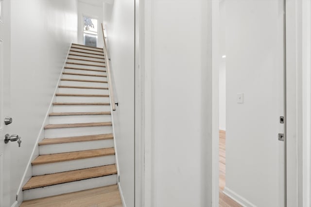 staircase with hardwood / wood-style flooring