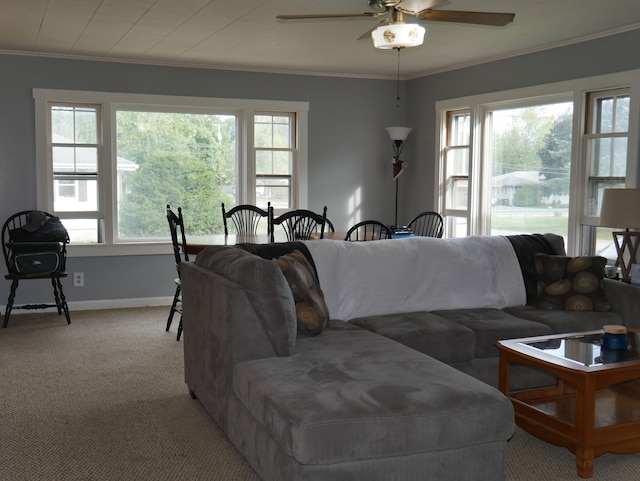 carpeted living room with crown molding and ceiling fan