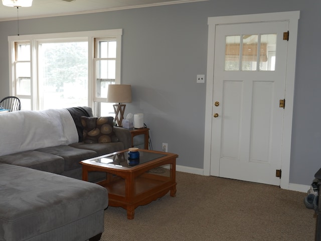 living room with ornamental molding and carpet flooring