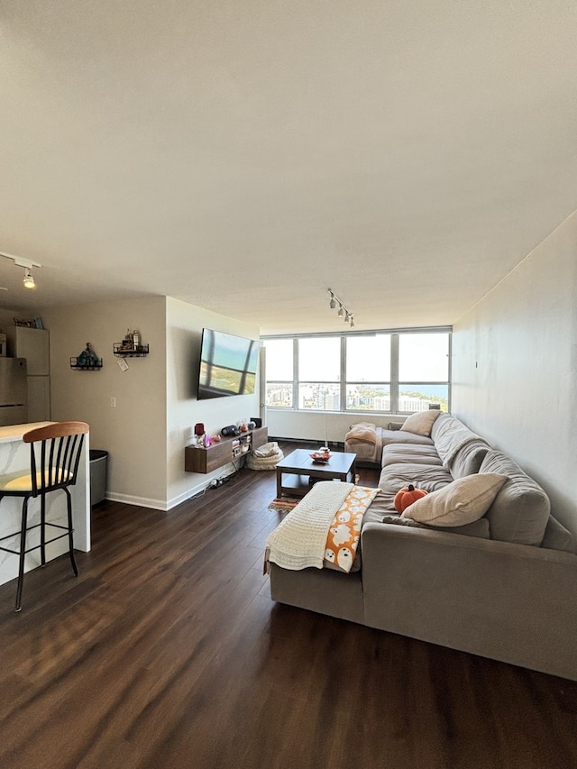 living room featuring track lighting and dark wood-type flooring