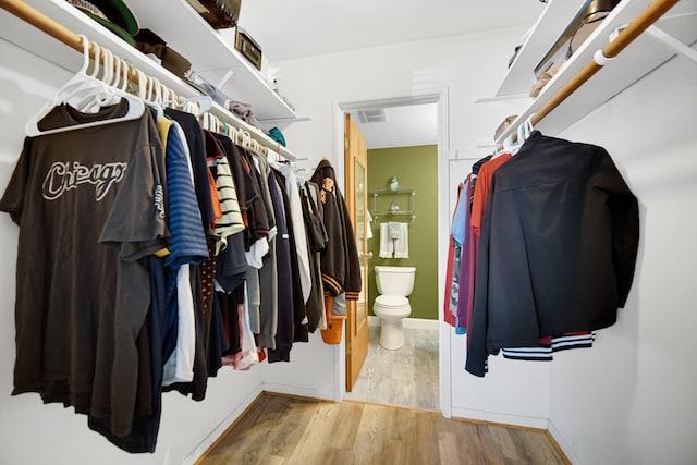 walk in closet with hardwood / wood-style flooring