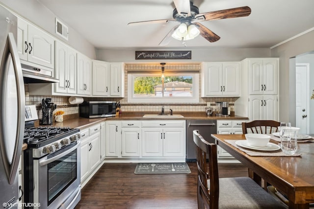 kitchen with appliances with stainless steel finishes, under cabinet range hood, visible vents, ceiling fan, and a sink