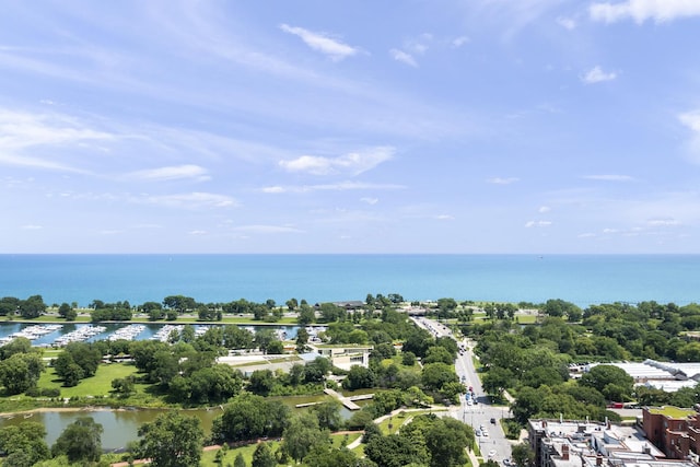 2400 N Lakeview Ave Unit 2501, Chicago, IL 60614 - photo 29