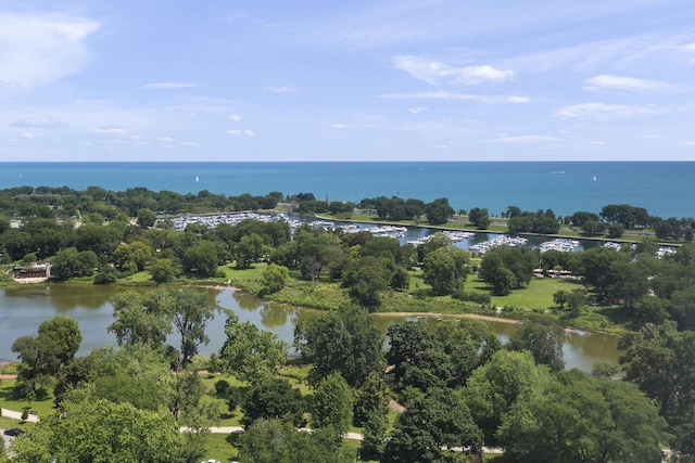 2400 N Lakeview Ave Unit 2501, Chicago, IL 60614 - photo 8