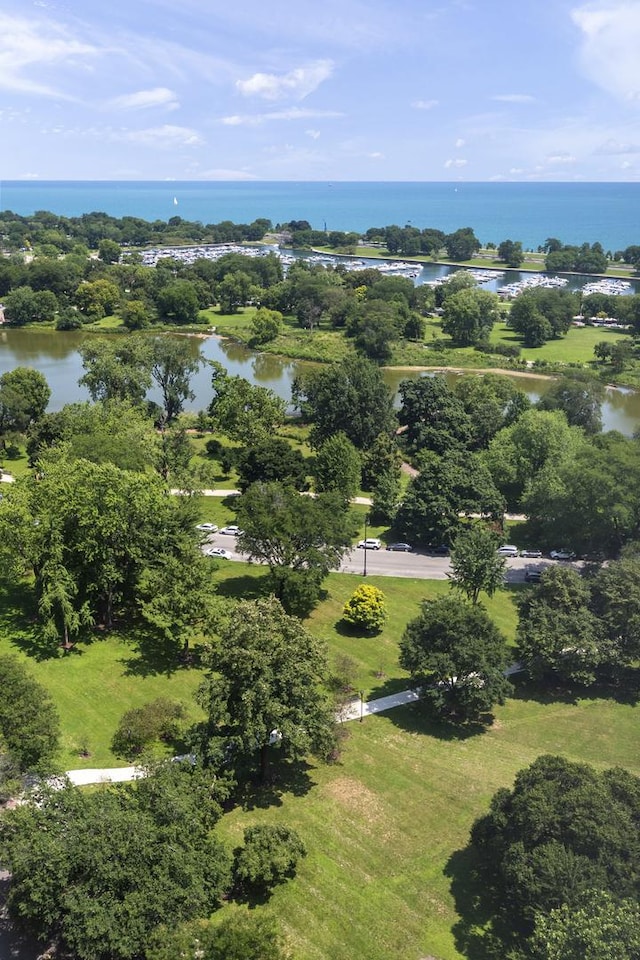2400 N Lakeview Ave Unit 2501, Chicago, IL 60614 - photo 9