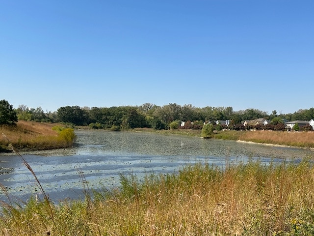 view of water feature