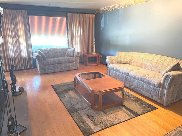 living room featuring wood-type flooring