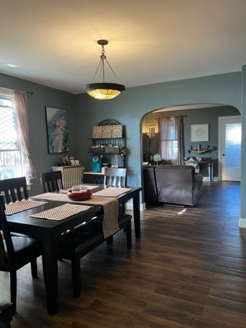 dining space featuring dark hardwood / wood-style floors