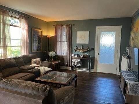 living room with a healthy amount of sunlight and dark hardwood / wood-style floors