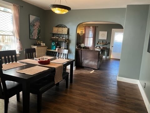 dining space with dark wood-type flooring and a wealth of natural light