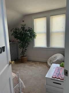 interior space featuring radiator and vaulted ceiling