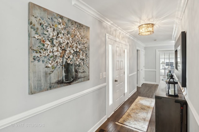 corridor featuring dark hardwood / wood-style flooring and crown molding