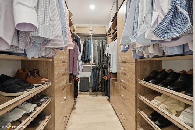 spacious closet with light wood-type flooring