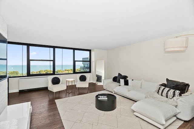 living room featuring wood-type flooring and a water view