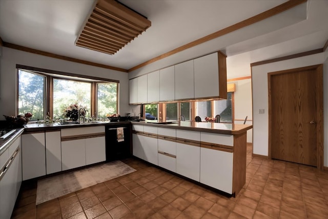 kitchen featuring white cabinets, dishwasher, and kitchen peninsula